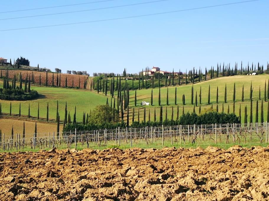 Castello Di Fulignano Ildebrando Superior Apartment サン・ジミニャーノ エクステリア 写真